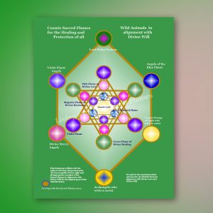 Healing and Protection of all Wild Animals in Alignment with Divine Will