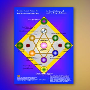 Divine Protection and Healing for Bees, Birds, and all Positive Flying Life Forms