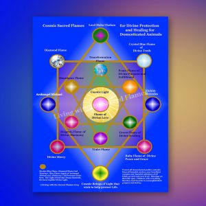Divine Protection and Healing for Domesticated Animals